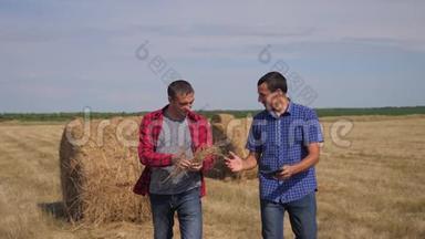 团队<strong>农业</strong>智慧<strong>农业</strong>理念.. 两名男工、农民在<strong>数字</strong>平板电脑上走在田里的干草堆上